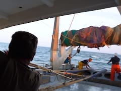 Francisco, pescador con 40 años en el mar: “Antes éramos marineros y pescadores; hoy nos hacen sentir como delincuentes”