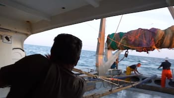 Francisco, pescador con 40 años en el mar: “Antes éramos marineros y pescadores; hoy nos hacen sentir como delincuentes”