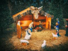 Día 8 de la Novena de Aguinaldos 2025: qué ocurre hoy, qué se lee y cuáles son los villancicos y oraciones del 23 de diciembre