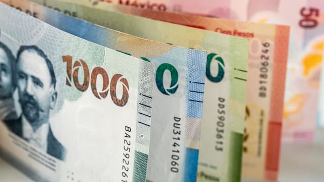 Hombres y mujeres mayores de 18 años cobrarán 6,450 pesos de la Secretaría del Bienestar: conoce los requisitos