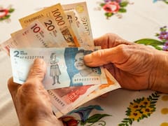 Renta Ciudadana y Devolución del IVA: cuáles son los requisitos, quiénes cobran y cuándo pagan en septiembre de 2026