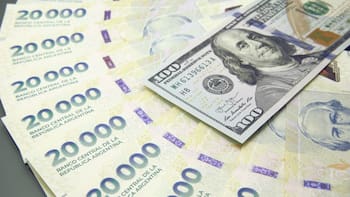 ¿Chau dolarización? Por qué este reconocido economista apuesta por el peso: “Puede funcionar...”