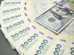 La demanda de dolarización cayó 50%: por qué el mercado no demanda tanta cobertura y hacia dónde van los pesos