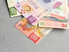 Hay chambita: el Gobierno ofrece hasta 18,500 pesos mensuales a todos los mexicanos que cumplan este requisito