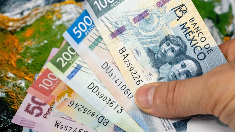 La campaña de descuentos contempla distintos niveles de formación académica y trámites profesionales