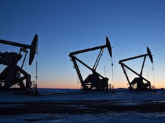 Goldman Sachs eligió dos acciones argentinas para aprovechar el “próximo boom energético global”