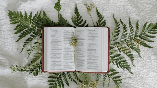 Día de San Diego de Alcalá: la oración para tener su guía y protección este jueves