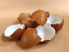 La resurrección del negocio