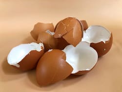 La resurrección del negocio