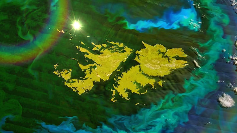 Phytoplankton surround the Falkland Islands. Millions of tiny, singlecelled plantlike organisms ring the Falkland Islands in this photolike. Elements of this image furnished by NASA.