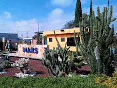 Mars saca las garras con Whiskas: quiere crecer con el boom de los gatos en México