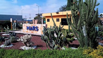 Mars saca las garras con Whiskas: quiere crecer con el boom de los gatos en México