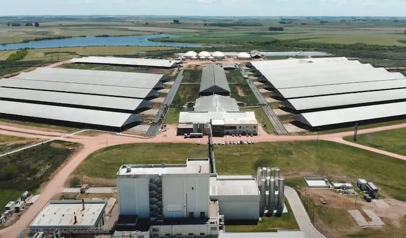 El proyecto constituye la primera planta comercial a nivel mundial capaz de transformar biogás electrificado en combustible sostenible para aviación.