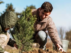 Qué significa realmente la frase: “No construyas una casa a los 50, no plantes un árbol a los 60 y no cosas ropa a los 70”