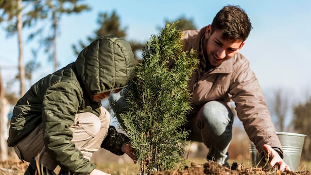 Qué significa realmente la frase: “No construyas una casa a los 50, no plantes un árbol a los 60 y no cosas ropa a los 70”