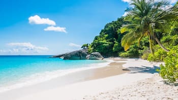 La playa más linda y exclusiva del país ya es de todos: el Gobierno tomó la decisión y miles ya están haciendo las maletas para ir