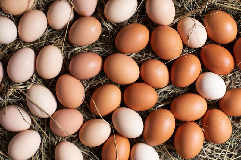 Pocos lo saben: cuál es la mejor forma de comer huevo y aprovechar todos sus nutrientes