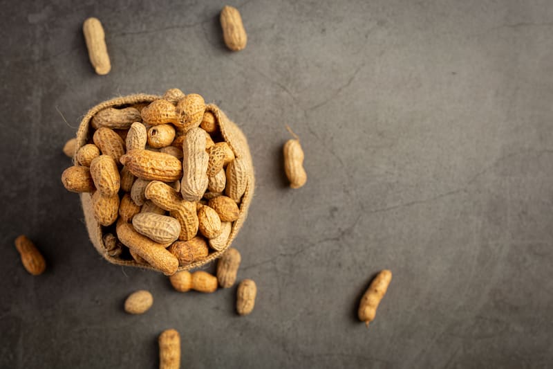 Pocos lo saben: el motivo por el que no tenés que tirar la cascara de maní