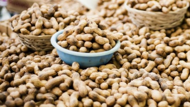 Pocos lo saben: el motivo por el que no tenés que tirar la cascara de maní