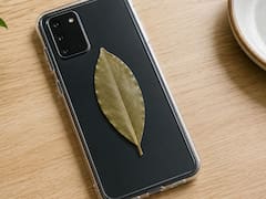 Pocos lo saben | Por qué recomiendan llevar una hoja de laurel en la funda del celular y para qué sirve