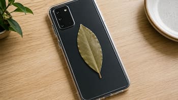 Pocos lo saben | Por qué recomiendan llevar una hoja de laurel en la funda del celular y para qué sirve
