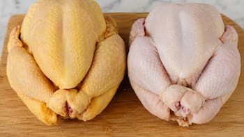 Pollo con piel amarilla o piel blanca | Cuál es la diferencia y cuál conviene comprar