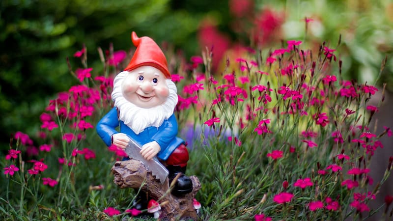 Poner duendes en el jardín: para qué sirve y por qué miles de personas recomiendan tenerlos entre las plantas
Fuente: Shutterstock