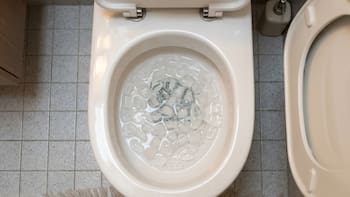 Tirar hielo en el inodoro: para qué sirve y por qué recomiendan hacerlo una vez por semana