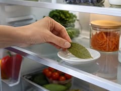 Poner hojas de laurel en el refrigerador: por qué lo recomiendan y para qué sirve