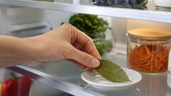 Poner hojas de laurel en el refrigerador: por qué lo recomiendan y para qué sirve