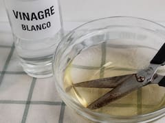Poner las tijeras en vinagre: para qué sirve y qué hay que hacer para evitar que se oxiden