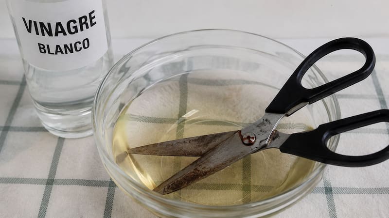 Poner las tijeras en vinagre: para qué sirve y qué hay que hacer para evitar que se oxiden