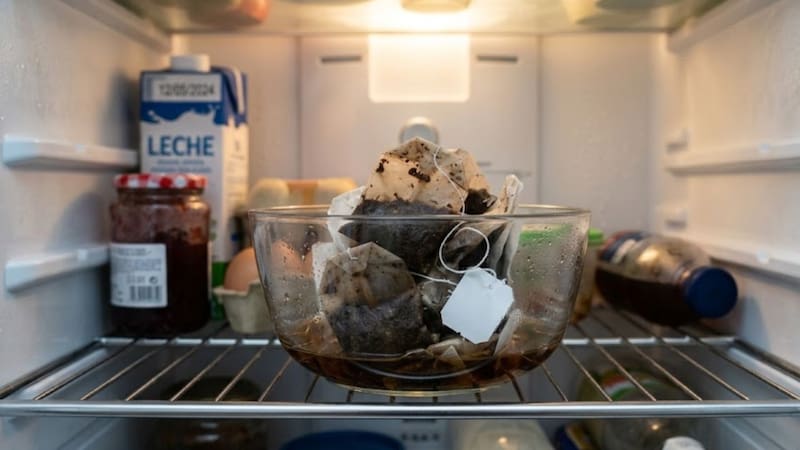 Poner saquitos de té usados en la heladera: para qué sirve y por qué lo recomiendan
Fuente. IA