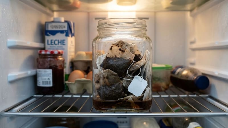 Poner saquitos de té usados en la heladera: para qué sirve y por qué lo recomiendan
Fuente. IA