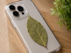 Poner una hoja de laurel en la funda del móvil: para qué sirve y por qué se ha vuelto viral