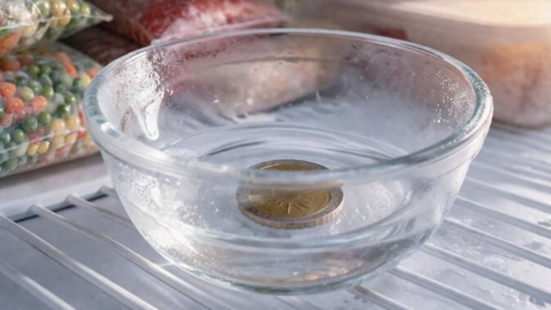 Poner una moneda adentro del freezer: para qué sirve y por qué lo recomiendan
Fuente: Archivo