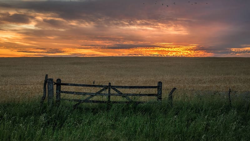 Por el blanqueo y mayor oferta, la venta de campos tuvo el mejor septiembre en 10 años