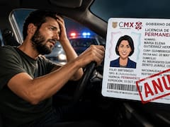 Es oficial | El Gobierno decreta la anulación de las licencias de conducir de las personas que manejen bajo esta condición