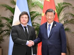 La contracara del ‘efecto Temu’: cómo es el plan para exportar más a China