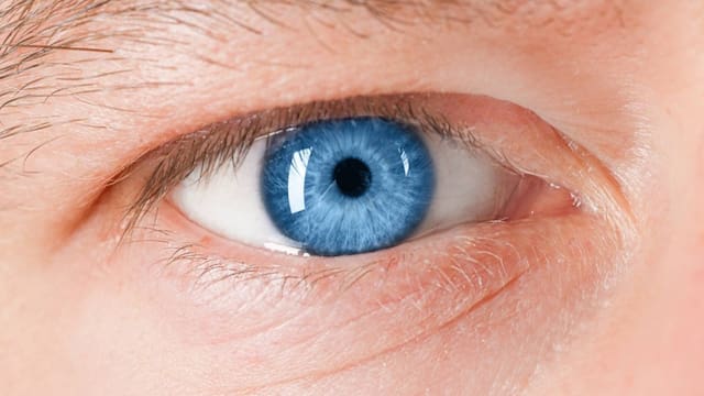 Por esta razón deberás mirar dos veces a las personas de ojos azules: la ciencia lo explica con un ejemplo que te dejará helado
