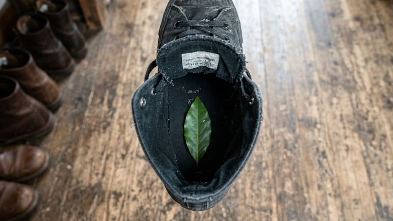 Por qué recomiendan poner una hoja de laurel en la zapatilla antes de salir de casa
