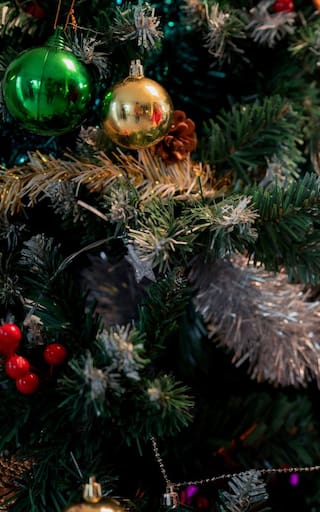 ¿Mesa afuera o adentro? Cómo estará el clima en Nochebuena y Navidad