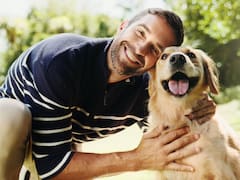 ¿Por qué tu perro te acompaña cada vez que te levantás?