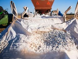 Gigante agroindustrial compró una histórica empresa de dulces y se expande en el mercado local