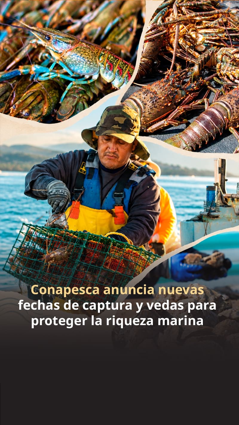Hombre en una barca captura especies marinas.