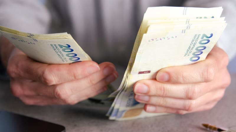 La ayuda económica se solicita en ANSES.