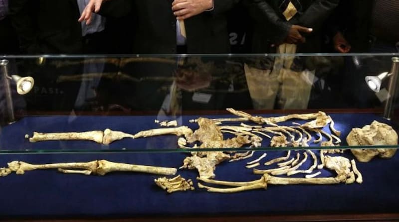 El rostro se rearmó a partir de los restos del primer ser humano.