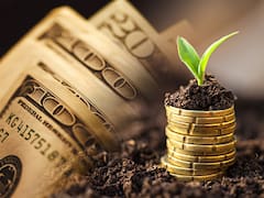 Privatizaciones y soja, el cóctel para pasar el invierno y la primavera