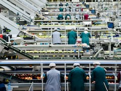 Desplome de la confianza manufacturera: seis de siete ramas se declaran pesimistas para invertir