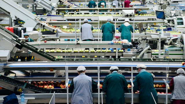 Desplome de la confianza manufacturera: seis de siete ramas se declaran pesimistas para invertir